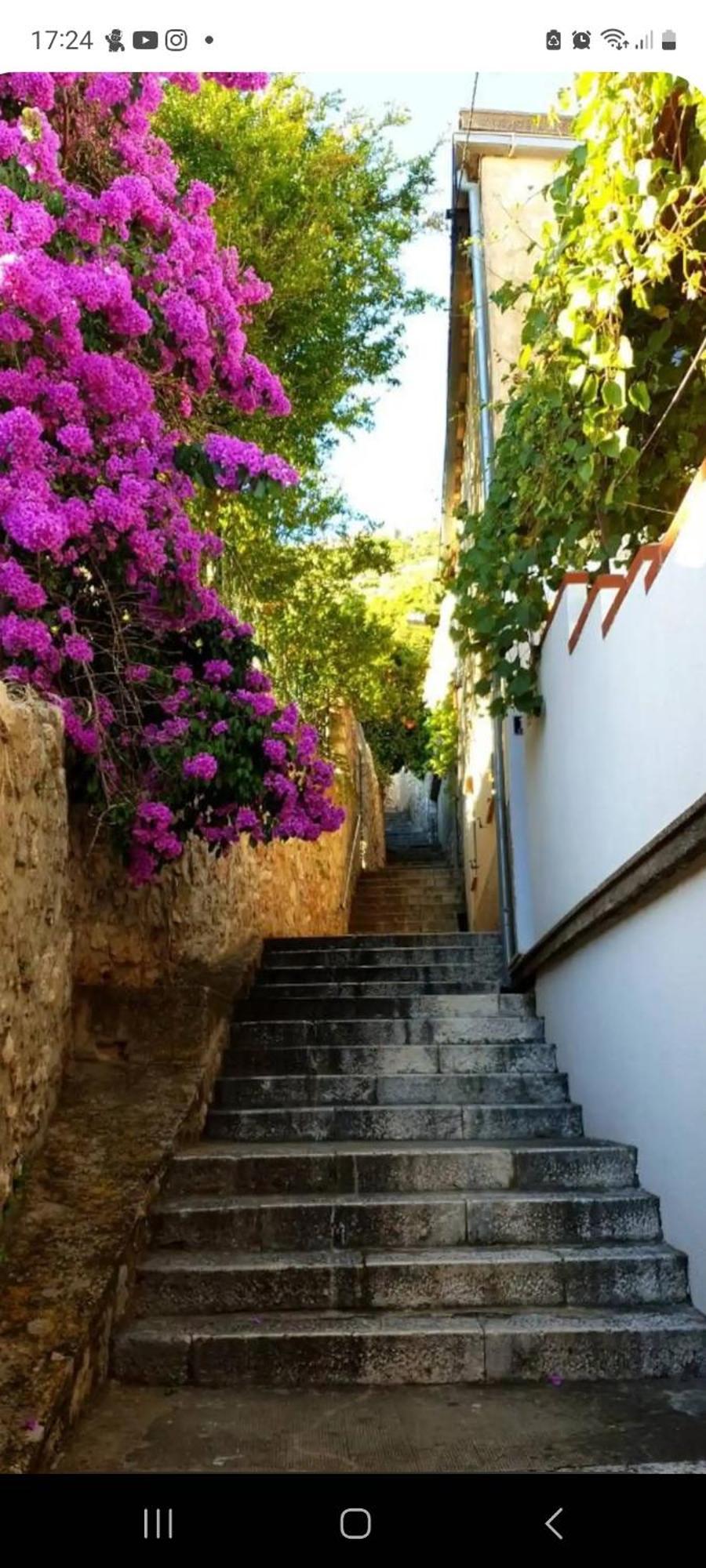 Apartment Bruana 5 Dubrovnik Ngoại thất bức ảnh